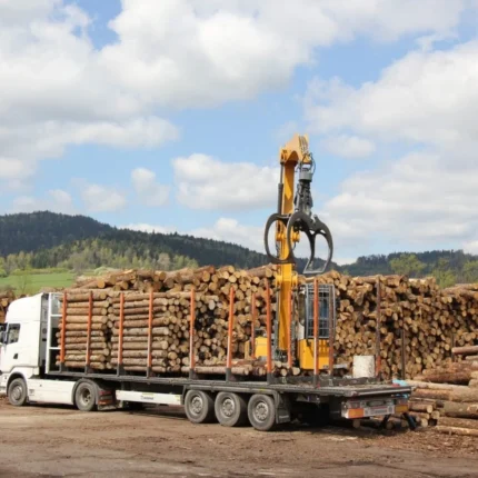Rotbuche im Stamm – Lkw komplett 50 Raummeter